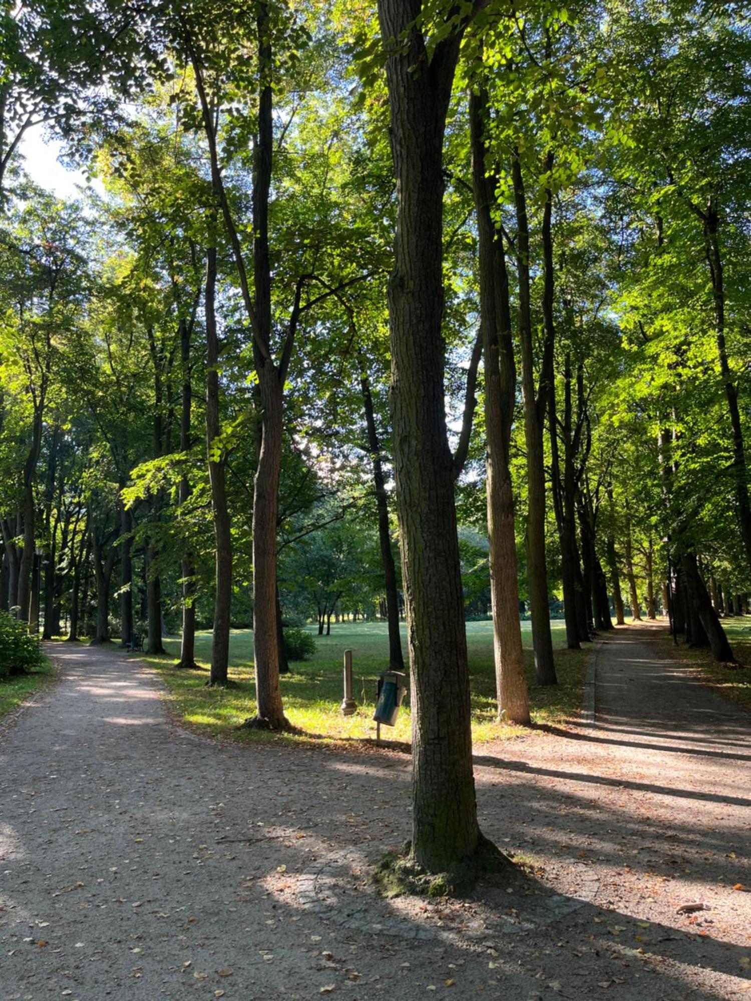 Sweet Home Cieplice Mountain View Apartament By The Main Park And Thermal Pools Jelenia Góra Extérieur photo